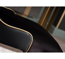 Обеденный стул для гостиной Карлино (Carlino) CARL-16A-02 (2 шт)